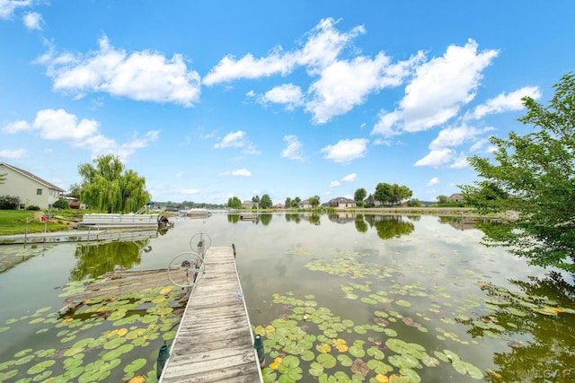 dock area with a water view