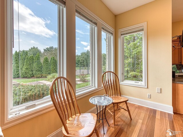 1036 Abbey Rd, Monroe, MI 48161 - photo 16