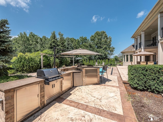 view of patio / terrace with a grill and area for grilling