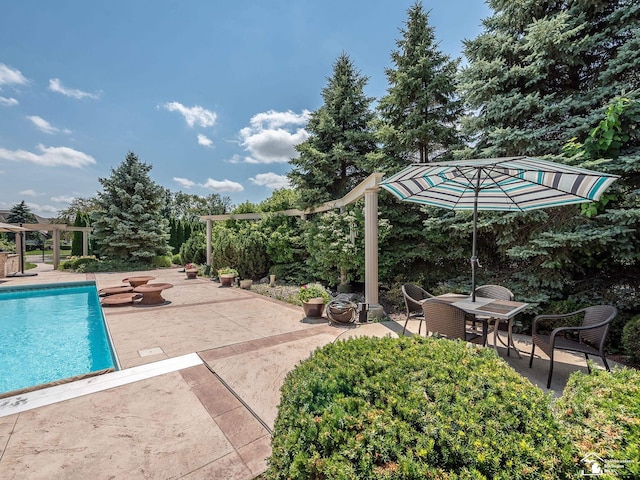 view of swimming pool with a patio area