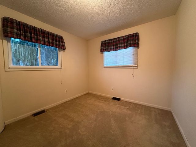 spare room featuring carpet floors and a textured ceiling