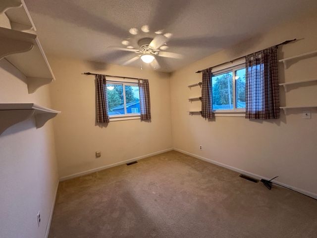 spare room with carpet floors, plenty of natural light, and ceiling fan