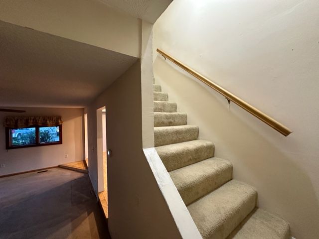 stairs with carpet