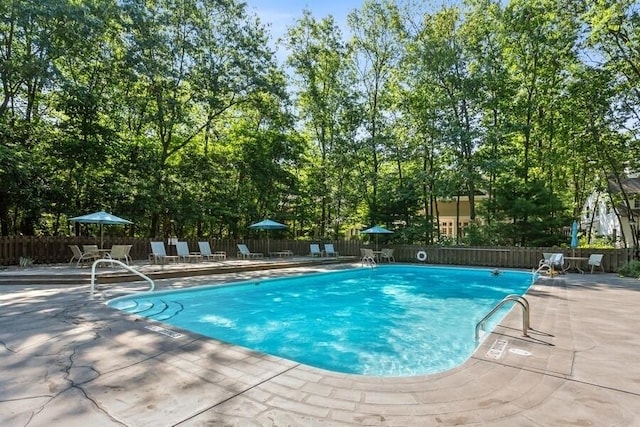 view of swimming pool with a patio area