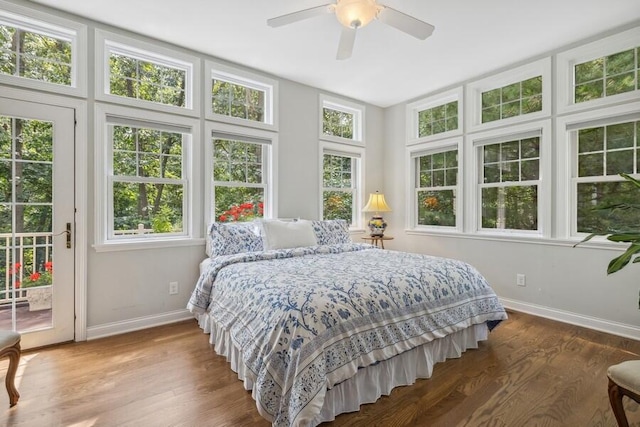 bedroom featuring access to exterior, multiple windows, ceiling fan, and dark wood-type flooring