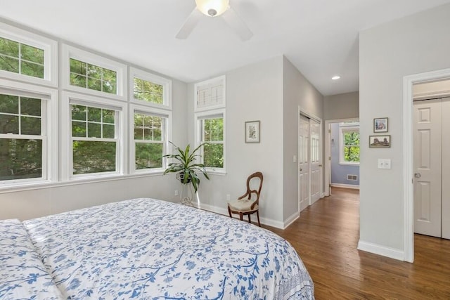 bedroom with multiple windows, ceiling fan, a closet, and dark hardwood / wood-style floors