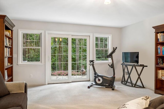 workout room featuring light carpet