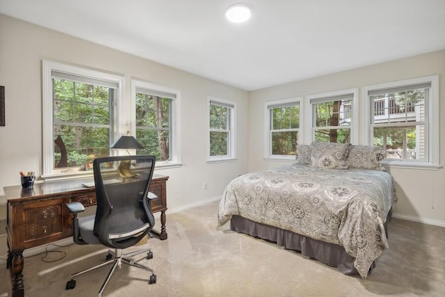 carpeted bedroom with multiple windows