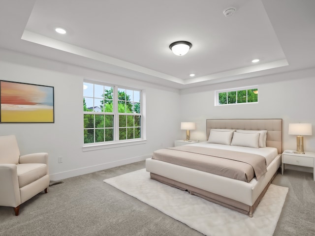 carpeted bedroom featuring a tray ceiling