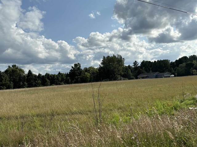 TBD Shepherd Rd, Mount Pleasant, MI 48858 - photo 3