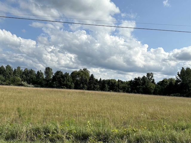 TBD Shepherd Rd, Mount Pleasant, MI 48858 - photo 1