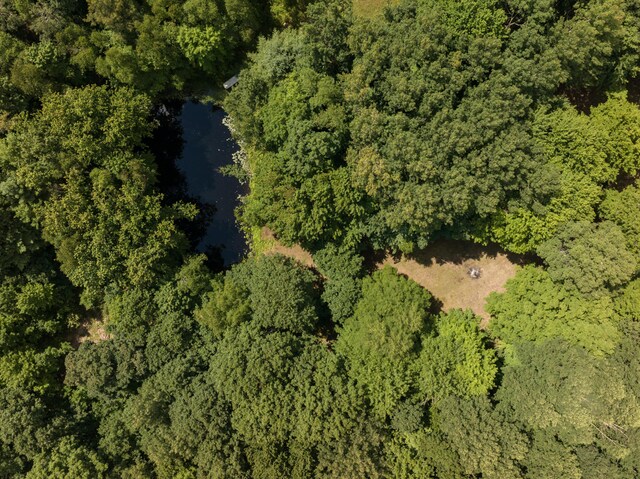 11451 Hemlock Ave, Lake, MI 48632 - aerial view of property's location with a large body of water and a heavily wooded area