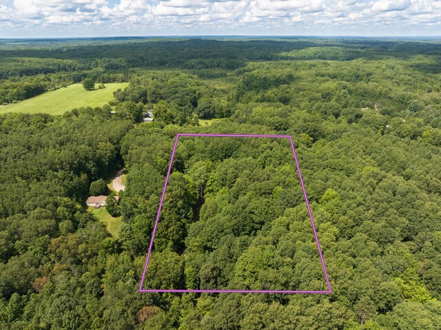 11451 Hemlock Ave, Lake, MI 48632 - aerial view of property's location with a forest and property boundaries highlighted