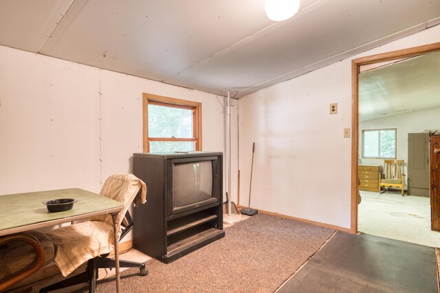 11451 Hemlock Ave, Lake, MI 48632 - basement featuring healthy amount of natural light, a wood stove, and carpet floors
