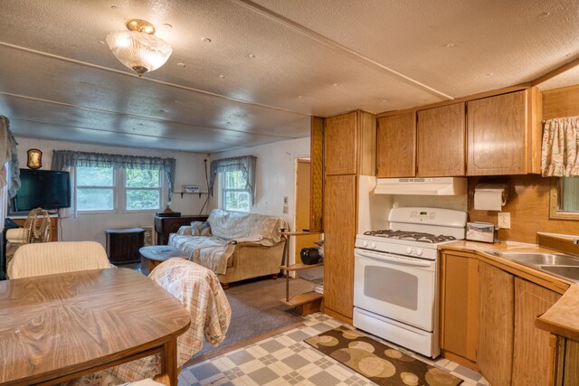 11451 Hemlock Ave, Lake, MI 48632 - kitchen with white range with gas stovetop, under cabinet range hood, a sink, light flooring, and light countertops
