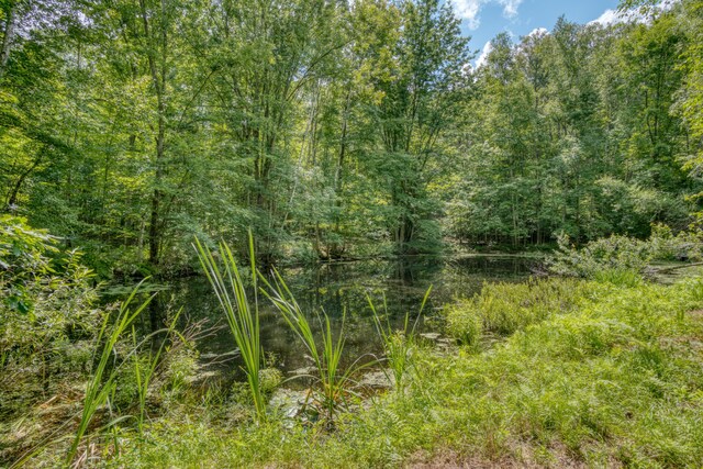 11451 Hemlock Ave, Lake, MI 48632 - view of wooded area