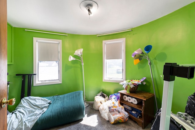 carpeted bedroom with multiple windows