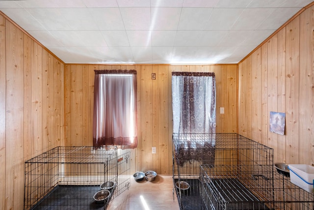 interior space featuring wooden walls and wood finished floors