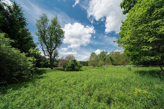 view of nature