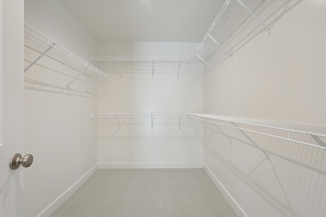 spacious closet featuring carpet