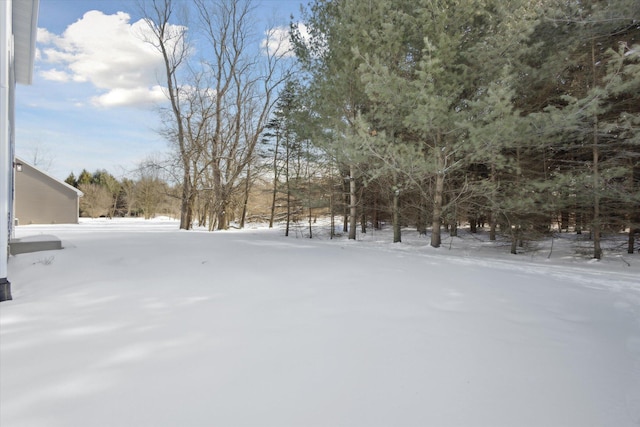 view of yard covered in snow