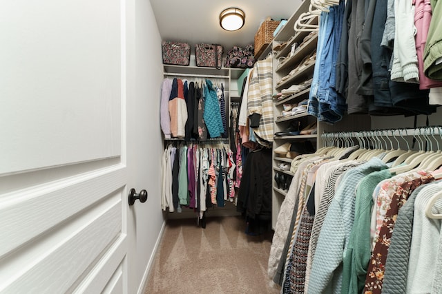 walk in closet featuring carpet flooring