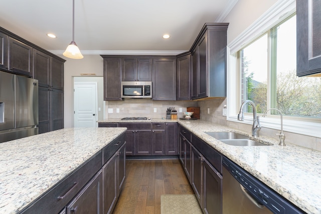 kitchen featuring dark wood finished floors, ornamental molding, a sink, dark brown cabinetry, and appliances with stainless steel finishes
