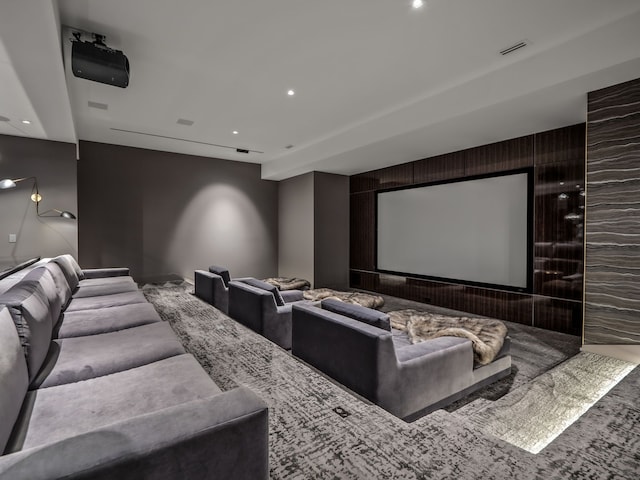 view of cinema room