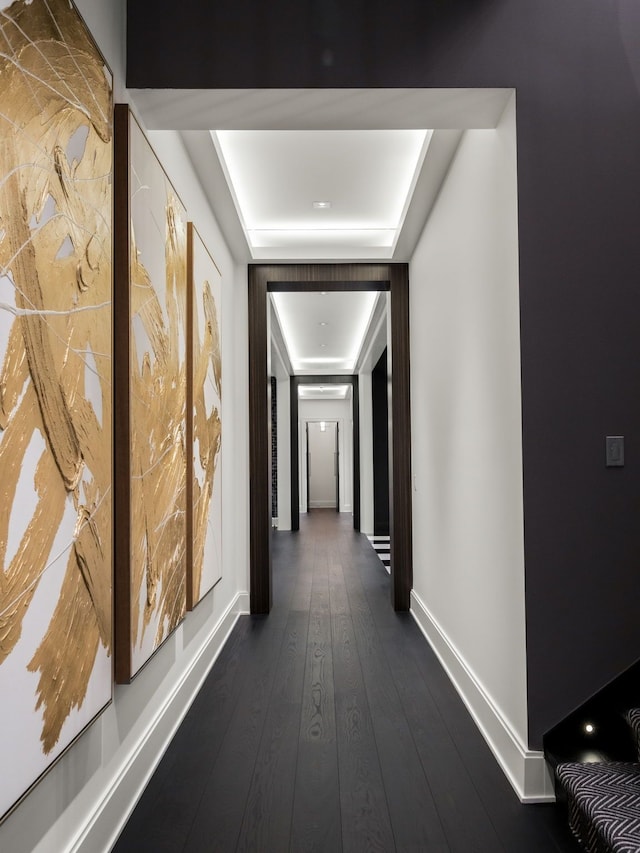 hallway featuring a raised ceiling and dark wood-type flooring