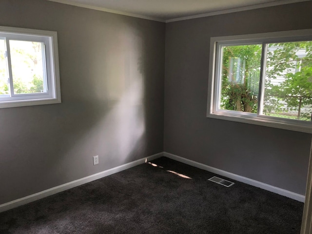 spare room with carpet and ornamental molding