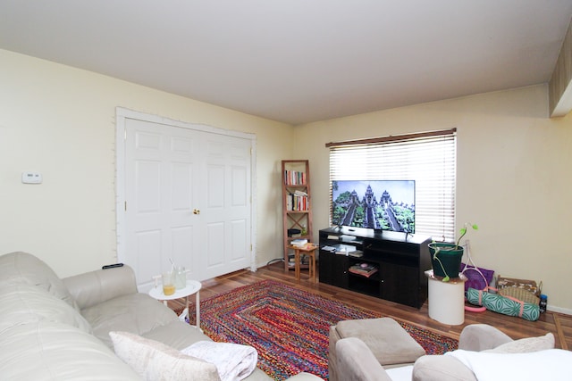 living room featuring wood-type flooring