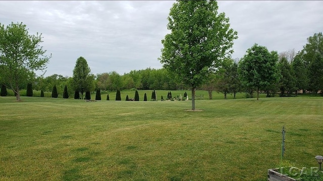 view of yard with a rural view