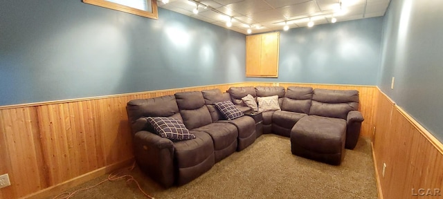 cinema with carpet flooring, rail lighting, and wooden walls