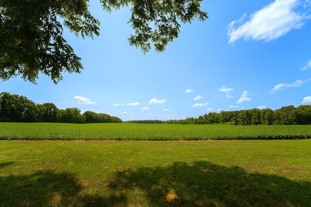 view of nature featuring a rural view