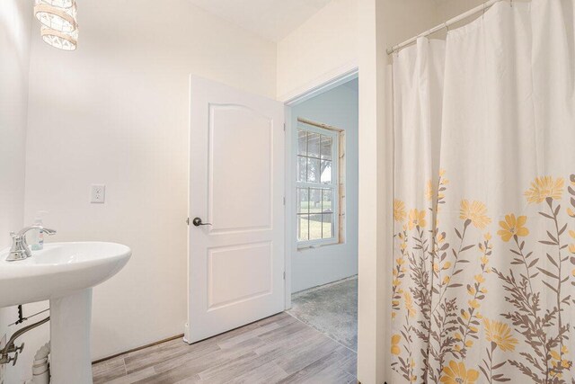 23381 Fosdick St, Dowagiac, MI 49047 - bathroom with wood finished floors, a sink, and a shower with shower curtain
