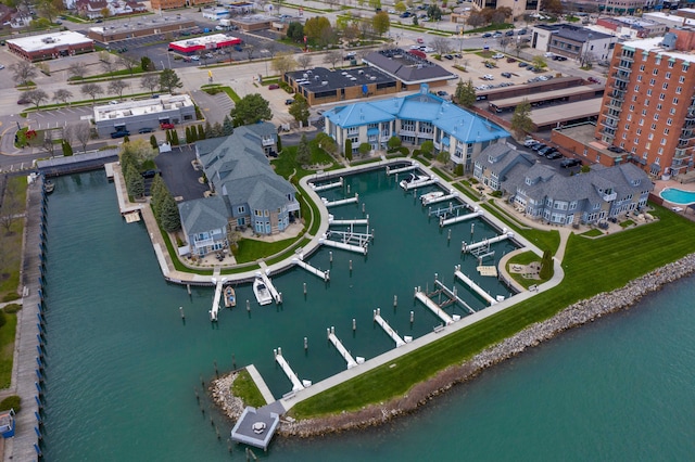 bird's eye view with a water view