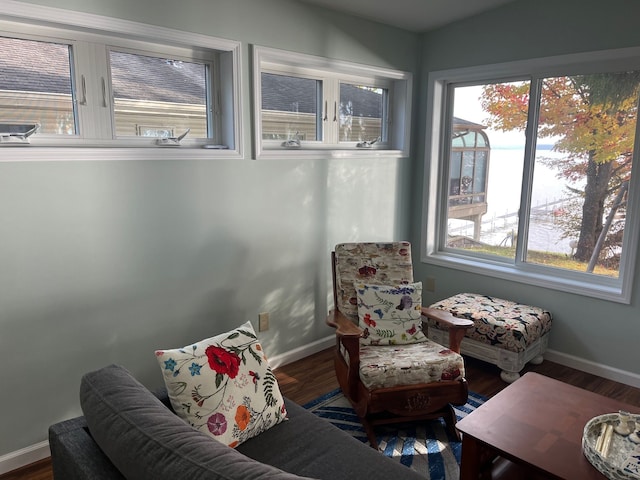 sitting room with wood finished floors, a wealth of natural light, and baseboards