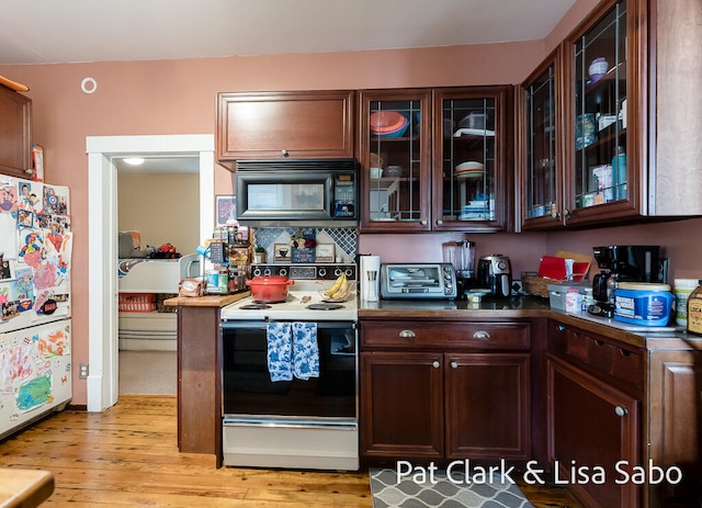 kitchen featuring dark brown cabinetry, light hardwood / wood-style floors, and white appliances