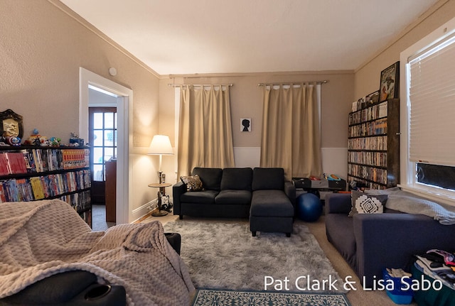 living room with crown molding and carpet