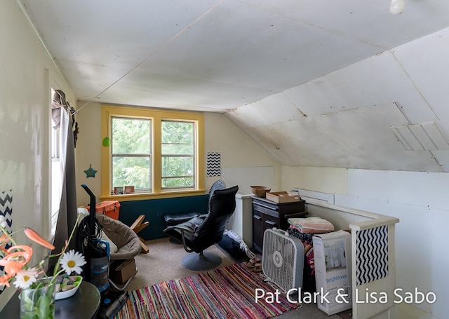 additional living space featuring carpet and vaulted ceiling