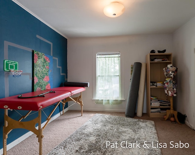 recreation room featuring carpet floors and crown molding