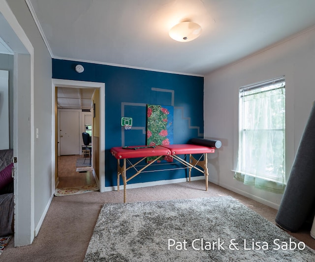 home office featuring carpet flooring and ornamental molding