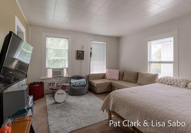 carpeted bedroom with cooling unit