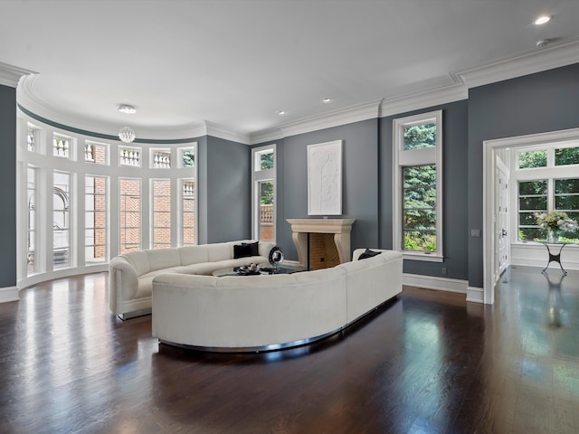 living room featuring crown molding and dark wood-type flooring