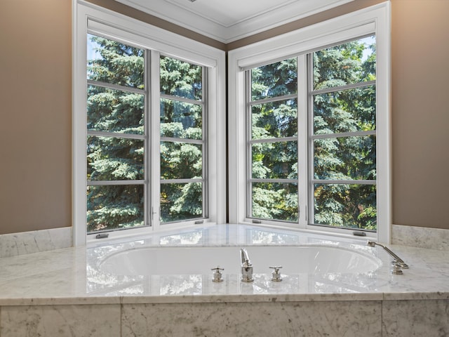 bathroom featuring a wealth of natural light and ornamental molding