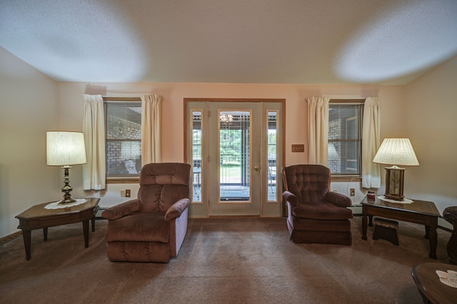 living area featuring dark colored carpet, a healthy amount of sunlight, and a textured ceiling