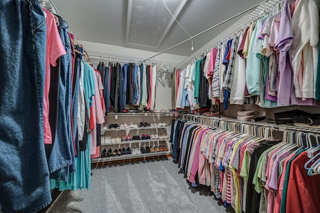 spacious closet with carpet