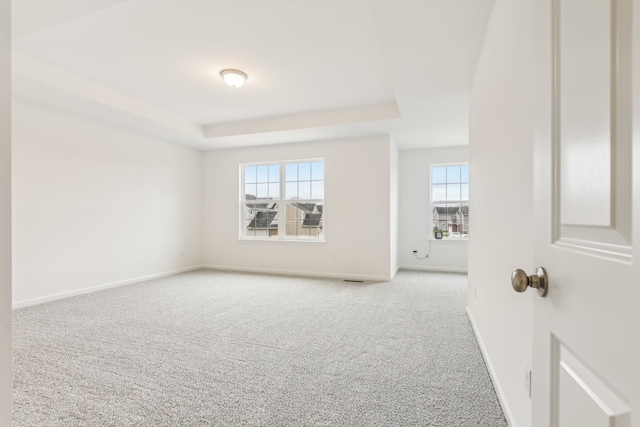 spare room with light carpet and a raised ceiling