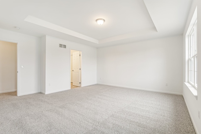 empty room with light colored carpet and a raised ceiling