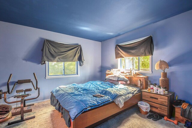7260 W E Rd, Three Oaks, MI 49128 - view of bedroom